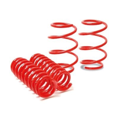 Coil-Ex Performance Springs Toyota Auris